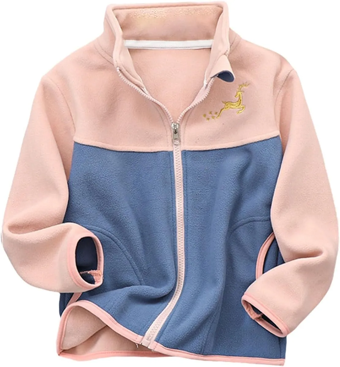 Boys Winter Jackets Coats Kids Boys Thick Cotton Padded Sports Jacket Sweatshirt Fleece Winter Coat (Pink, 3-4 Years)