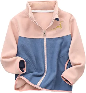 Boys Winter Jackets Coats Kids Boys Thick Cotton Padded Sports Jacket Sweatshirt Fleece Winter Coat (Pink, 3-4 Years)