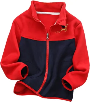 Boys Winter Jackets Coats Kids Boys Thick Cotton Padded Sports Jacket Sweatshirt Fleece Winter Coat (Red, 3-4 Years)