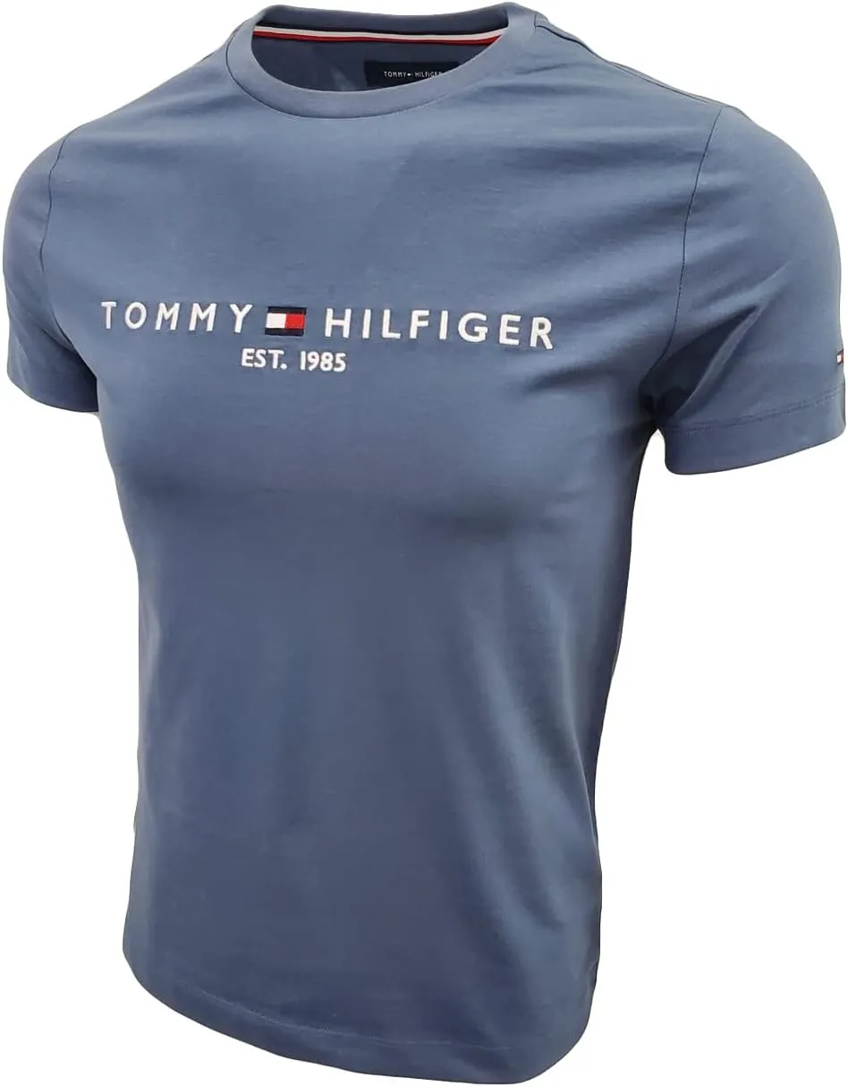 Tommy Hilfiger Men's Tommy Jeans Graphic Logo T-Shirt