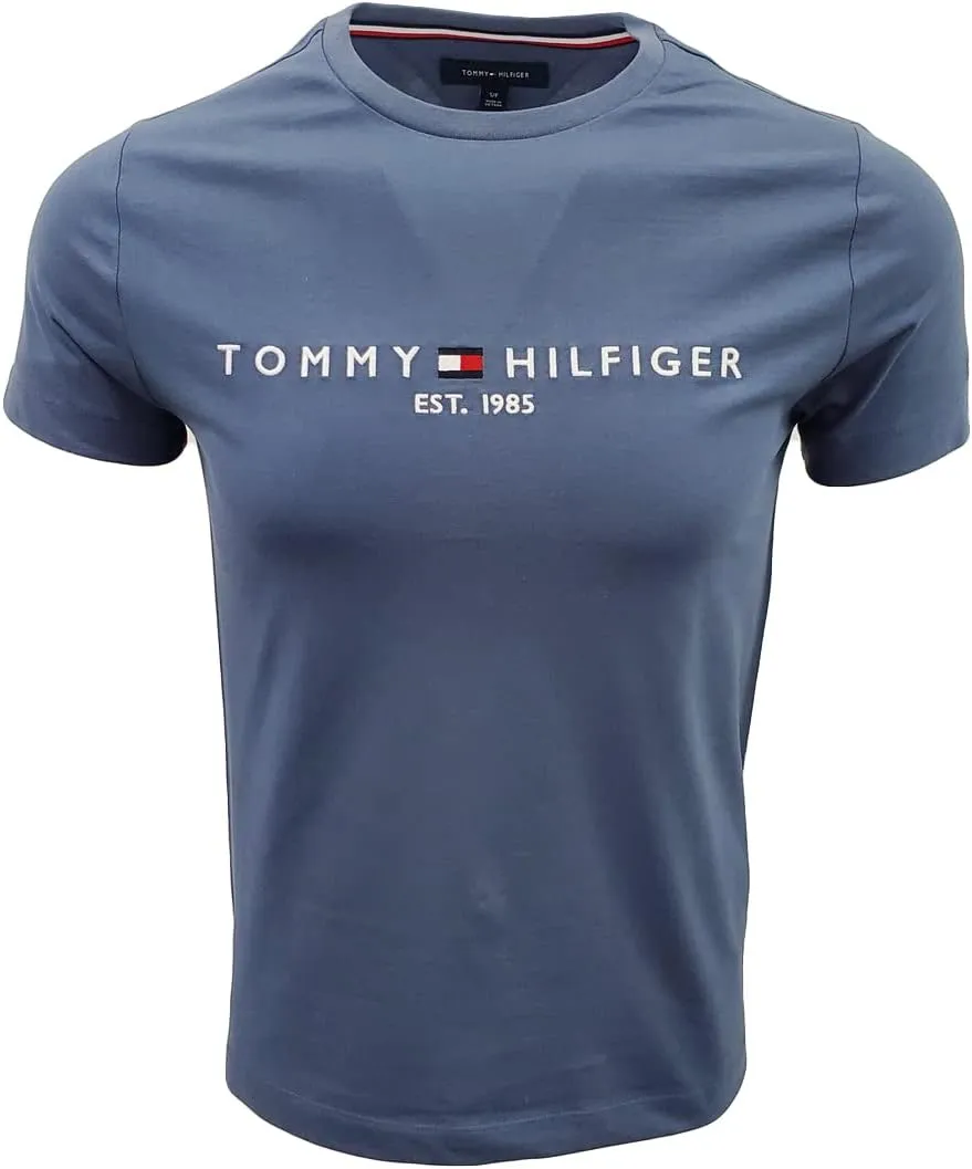 Tommy Hilfiger Men's Tommy Jeans Graphic Logo T-Shirt